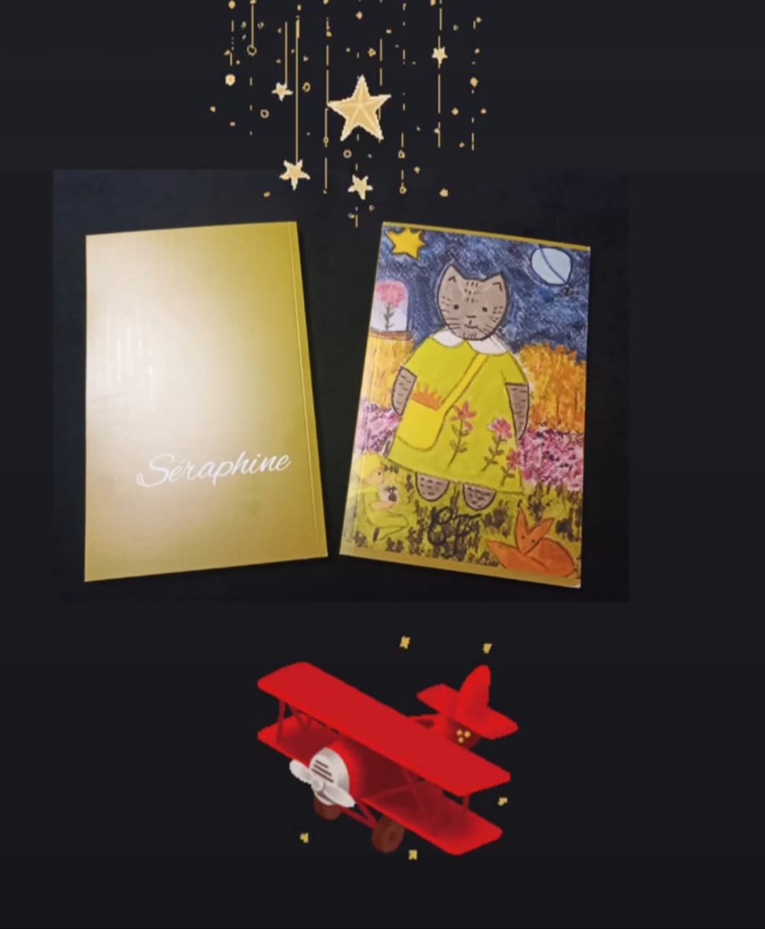 Les petits carnets de Seraphine 